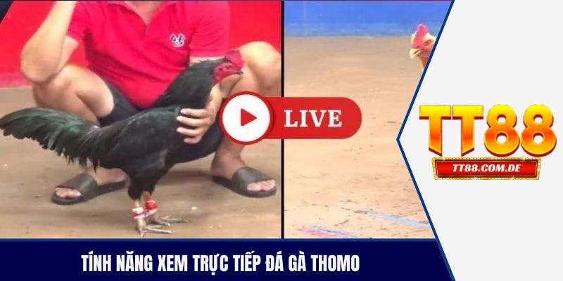 Tính năng xem trực tiếp đá gà thomo